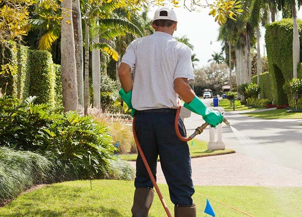 About Fabyan CT Pest Control Pros